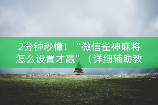 2分钟秒懂！“微信雀神麻将怎么设置才赢”（详细辅助教程）-哔哩哔哩