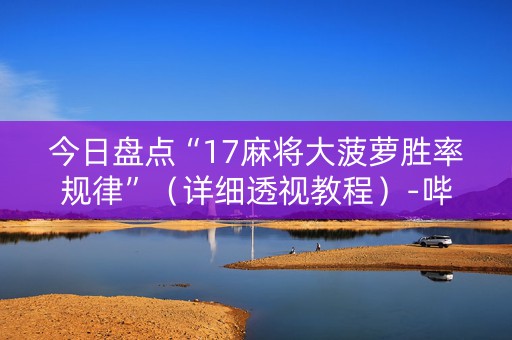 今日盘点“17麻将大菠萝胜率规律”（详细透视教程）-哔哩哔哩