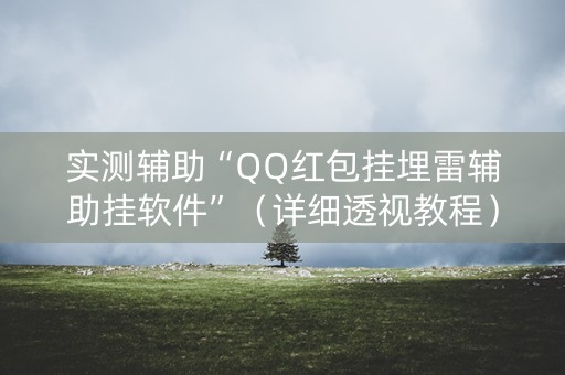 实测辅助“QQ红包挂埋雷辅助挂软件”（详细透视教程）-哔哩哔哩
