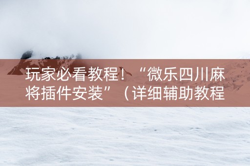 玩家必看教程！“微乐四川麻将插件安装”（详细辅助教程）-哔哩哔哩