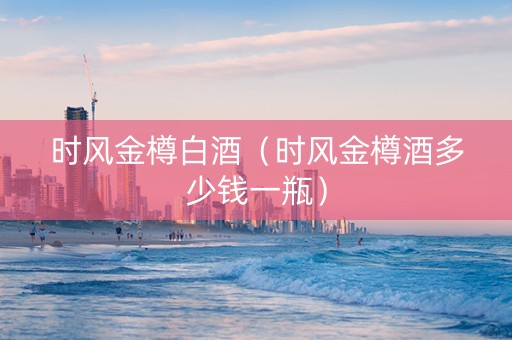 时风金樽白酒（时风金樽酒多少钱一瓶）