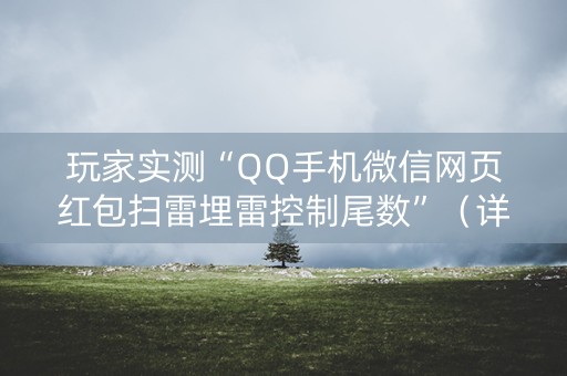 玩家实测“QQ手机微信网页红包扫雷埋雷控制尾数”（详细透视教程）-哔哩哔哩