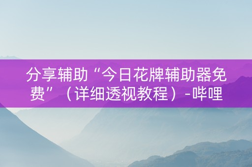分享辅助“今日花牌辅助器免费”（详细透视教程）-哔哩哔哩