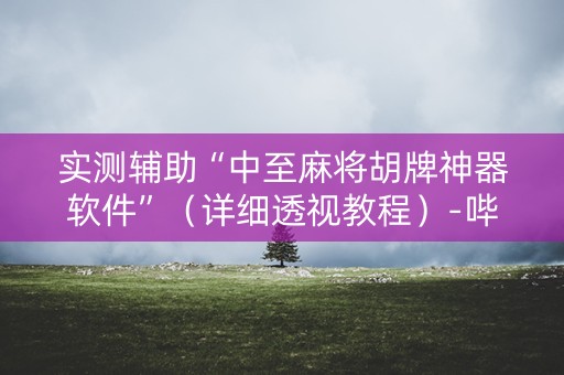 实测辅助“中至麻将胡牌神器软件”（详细透视教程）-哔哩哔哩