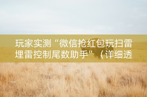 玩家实测“微信抢红包玩扫雷埋雷控制尾数助手”（详细透视教程）-哔哩哔哩