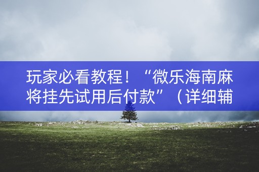 玩家必看教程！“微乐海南麻将挂先试用后付款”（详细辅助教程）-哔哩哔哩