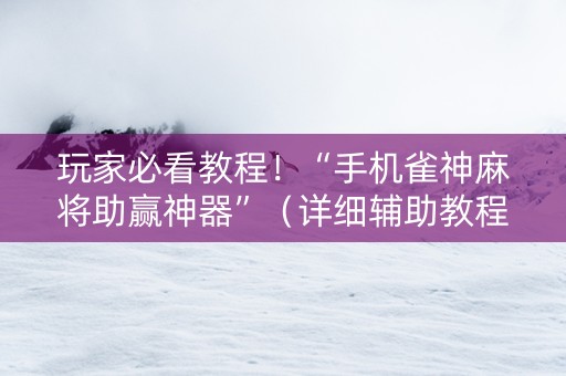 玩家必看教程！“手机雀神麻将助赢神器”（详细辅助教程）-哔哩哔哩