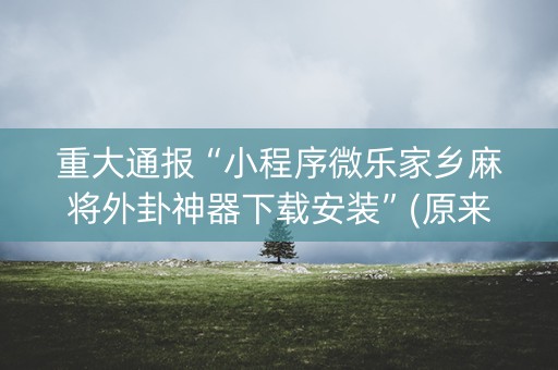 重大通报“小程序微乐家乡麻将外卦神器下载安装”(原来真的有挂)-知乎