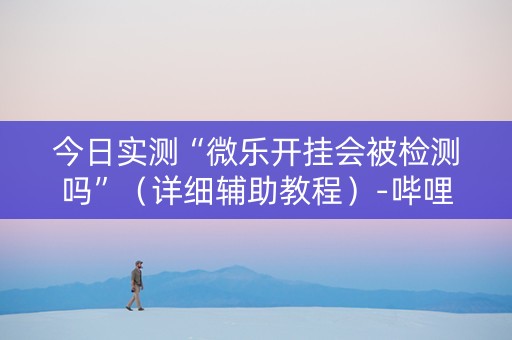 今日实测“微乐开挂会被检测吗”（详细辅助教程）-哔哩哔哩