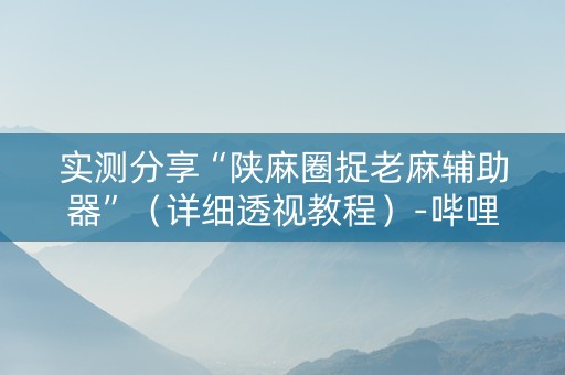 实测分享“陕麻圈捉老麻辅助器”（详细透视教程）-哔哩哔哩