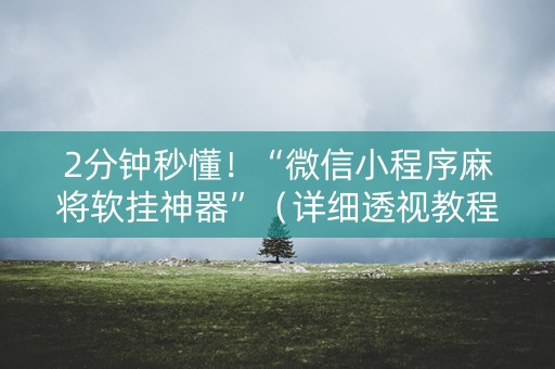 2分钟秒懂！“微信小程序麻将软挂神器”（详细透视教程）-哔哩哔哩