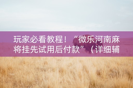 玩家必看教程！“微乐河南麻将挂先试用后付款”（详细辅助教程）-哔哩哔哩