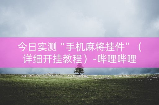 今日实测“手机麻将挂件”（详细开挂教程）-哔哩哔哩
