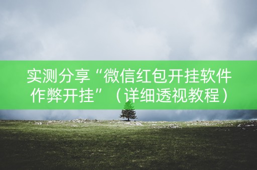 实测分享“微信红包开挂软件作弊开挂”（详细透视教程）-哔哩哔哩