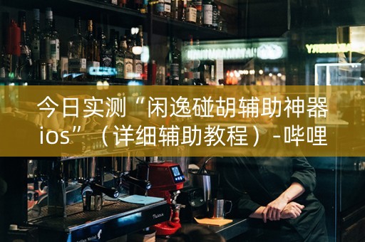 今日实测“闲逸碰胡辅助神器ios”（详细辅助教程）-哔哩哔哩