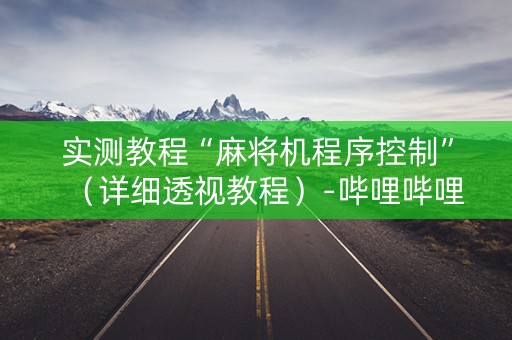 实测教程“麻将机程序控制”（详细透视教程）-哔哩哔哩