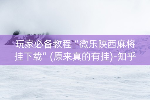 玩家必备教程“微乐陕西麻将挂下载”(原来真的有挂)-知乎