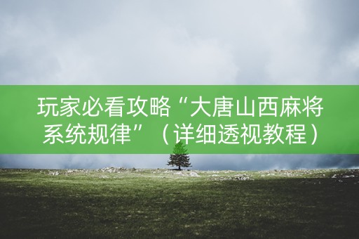 玩家必看攻略“大唐山西麻将系统规律”（详细透视教程）-哔哩哔哩