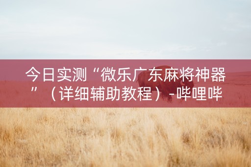 今日实测“微乐广东麻将神器”（详细辅助教程）-哔哩哔哩