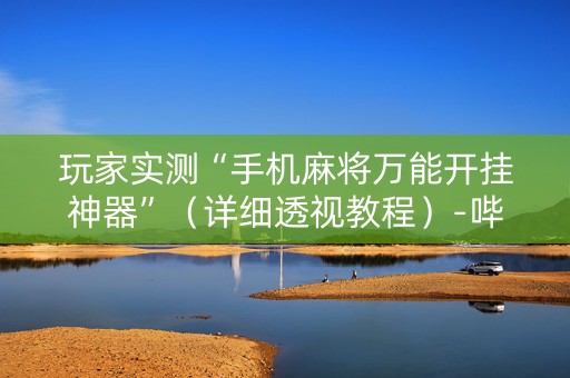 玩家实测“手机麻将万能开挂神器”（详细透视教程）-哔哩哔哩