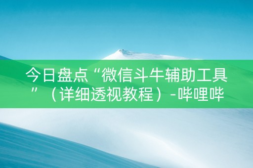 今日盘点“微信斗牛辅助工具”（详细透视教程）-哔哩哔哩
