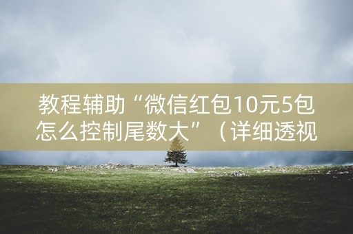 教程辅助“微信红包10元5包怎么控制尾数大”（详细透视教程）-哔哩哔哩