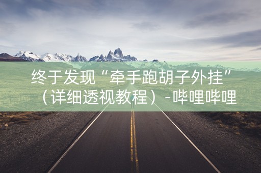 终于发现“牵手跑胡子外挂”（详细透视教程）-哔哩哔哩