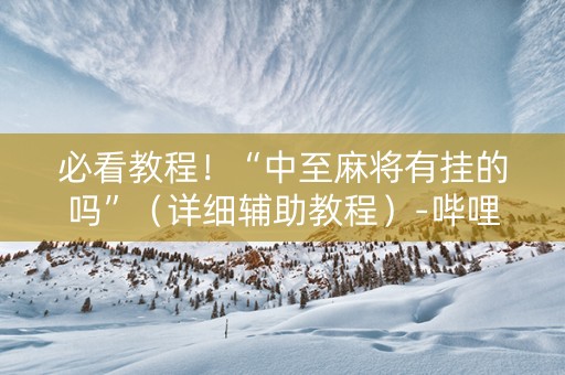 必看教程！“中至麻将有挂的吗”（详细辅助教程）-哔哩哔哩
