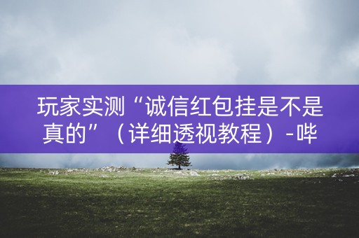 玩家实测“诚信红包挂是不是真的”（详细透视教程）-哔哩哔哩