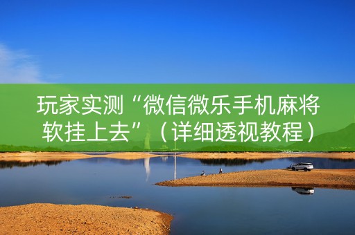 玩家实测“微信微乐手机麻将软挂上去”（详细透视教程）-哔哩哔哩