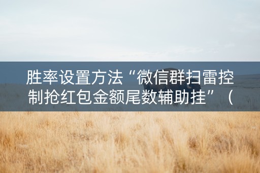 胜率设置方法“微信群扫雷控制抢红包金额尾数辅助挂”（详细透视教程）-哔哩哔哩