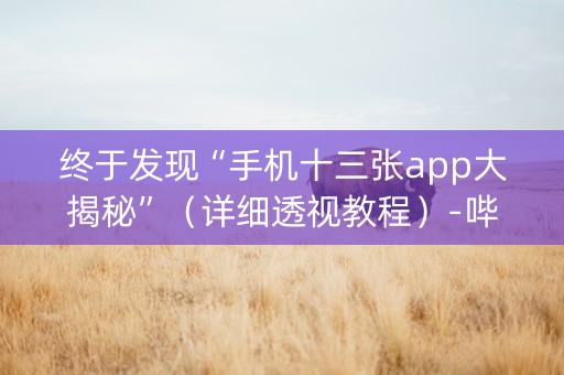 终于发现“手机十三张app大揭秘”（详细透视教程）-哔哩哔哩