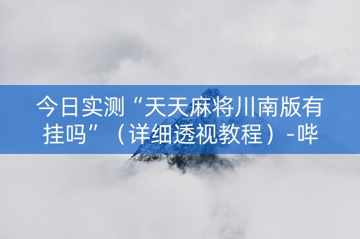 今日实测“天天麻将川南版有挂吗”（详细透视教程）-哔哩哔哩