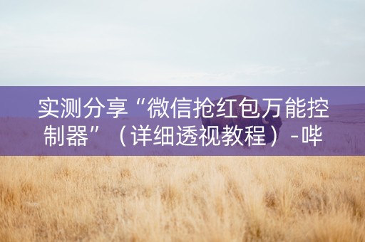 实测分享“微信抢红包万能控制器”（详细透视教程）-哔哩哔哩