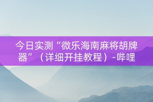 今日实测“微乐海南麻将胡牌器”（详细开挂教程）-哔哩哔哩