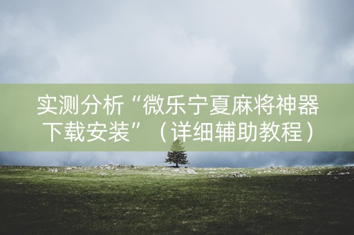 实测分析“微乐宁夏麻将神器下载安装”（详细辅助教程）-哔哩哔哩
