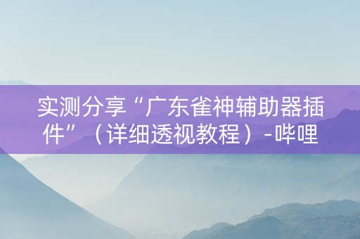 实测分享“广东雀神辅助器插件”（详细透视教程）-哔哩哔哩