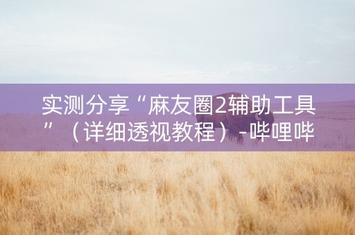 实测分享“麻友圈2辅助工具”（详细透视教程）-哔哩哔哩