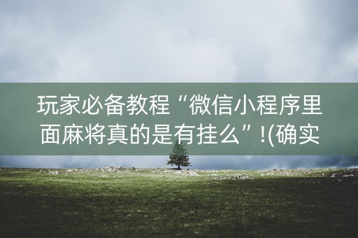 玩家必备教程“微信小程序里面麻将真的是有挂么”!(确实是有挂)-知乎