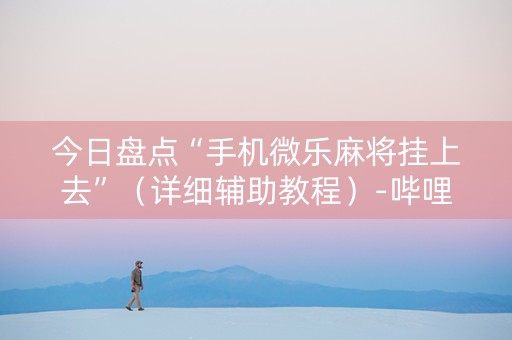 今日盘点“手机微乐麻将挂上去”（详细辅助教程）-哔哩哔哩