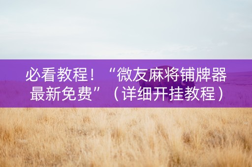 必看教程！“微友麻将铺牌器最新免费”（详细开挂教程）-哔哩哔哩