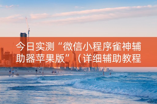 今日实测“微信小程序雀神辅助器苹果版”（详细辅助教程）-哔哩哔哩