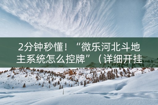 2分钟秒懂！“微乐河北斗地主系统怎么控牌”（详细开挂教程）-哔哩哔哩