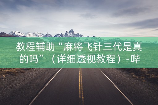 教程辅助“麻将飞针三代是真的吗”（详细透视教程）-哔哩哔哩
