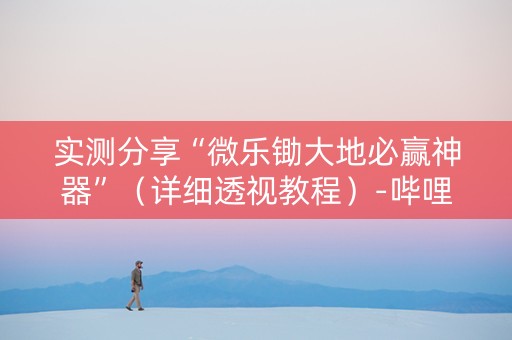 实测分享“微乐锄大地必赢神器”（详细透视教程）-哔哩哔哩