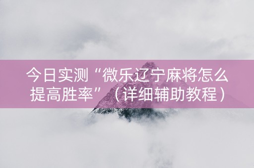 今日实测“微乐辽宁麻将怎么提高胜率”（详细辅助教程）-哔哩哔哩