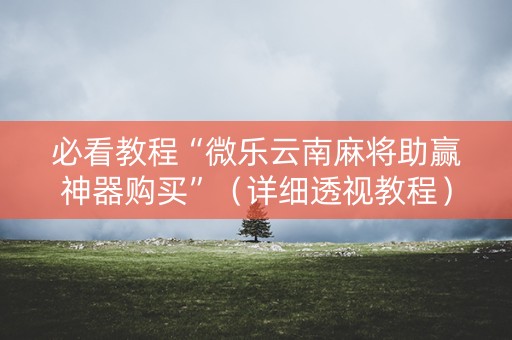 必看教程“微乐云南麻将助赢神器购买”（详细透视教程）-哔哩哔哩