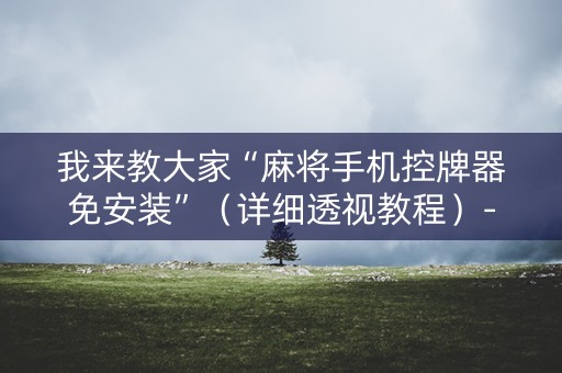 我来教大家“麻将手机控牌器免安装”（详细透视教程）-哔哩哔哩