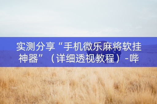 实测分享“手机微乐麻将软挂神器”（详细透视教程）-哔哩哔哩