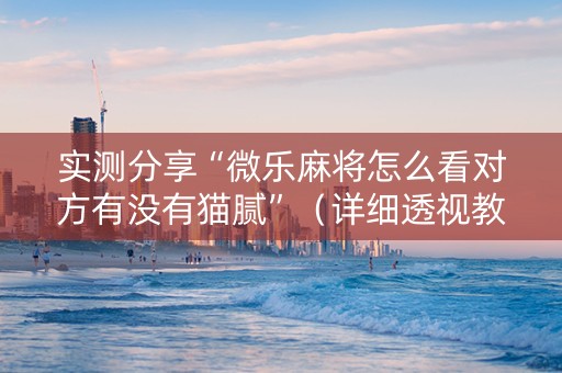 实测分享“微乐麻将怎么看对方有没有猫腻”（详细透视教程）-哔哩哔哩